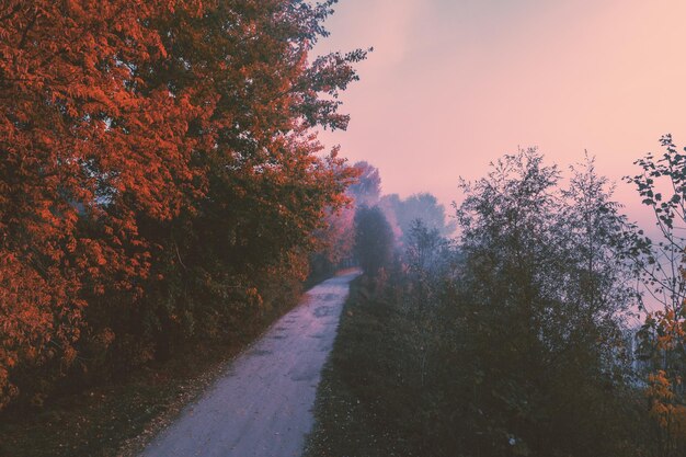 Die Straße entlang des Sees in einem nebligen Herbstmorgen Ländliche Landschaft