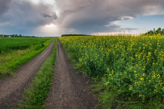 Die Straße entlang des Vergewaltigungsfeldes