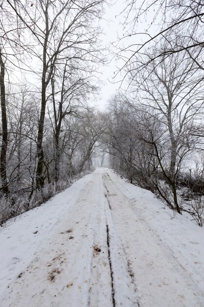 Die straße ist in der wintersaison mit schnee bedeckt