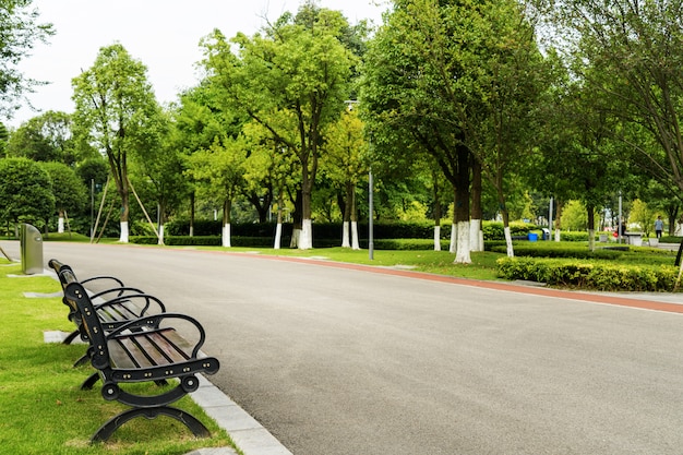 Die Straße und die Bänke sind im Park