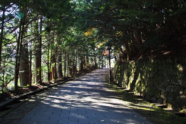 Die Straße zu Tosho-GU-Tempel am Herbst, Nikko, Japan