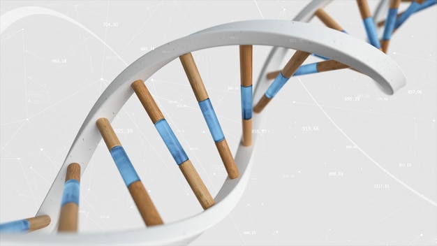 Die Struktur der menschlichen DNA dreht sich vor dem Hintergrund von Verbindungen und Zahlen. 3D-Illustration der konzeptuellen Wissenschaftstechnologie