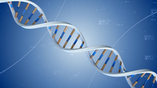 Die Struktur der menschlichen DNA dreht sich vor dem Hintergrund von Verbindungen und Zahlen. 3D-Illustration der konzeptuellen Wissenschaftstechnologie