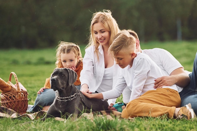 Die süße Hundefamilie hat im Sommer zusammen ein Wochenende im Freien