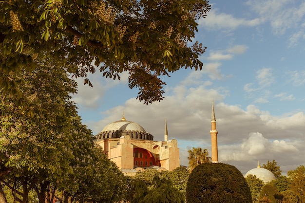 Die Sultan-Ahmed-Moschee Blaue Moschee und Blick auf den Brunnen vom Sultanahmet-Park in Istanbul