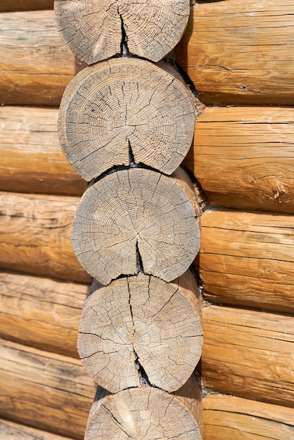 Die Textur des Baumes auf dem Schnitt eines Baumstamms. Vertikale Aufnahme