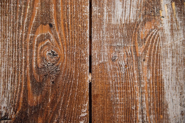 Die Textur des Baumes Natürliches Muster auf einem hölzernen Hintergrund Abgenutzte weiße Farbe auf Holz