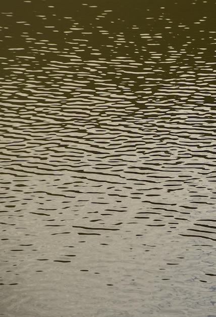 Die Textur des dunklen Flusswassers unter dem Einfluss des Windes, geprägt in der vertikalen Perspektive