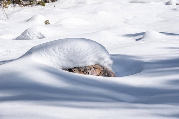 Die Textur des Schnees Flaumiger Schnee, der die schönen Schatten der Steine bedeckt Der arktische Winterhintergrund