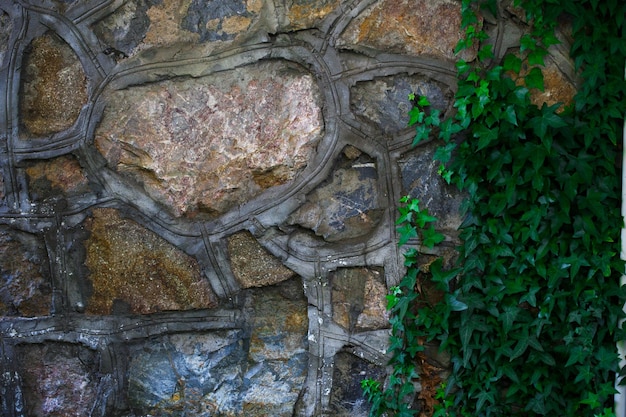 Die Textur des Steinzauns aus Steinen mit grünen Blättern und Ästen natürlichen Hintergrund