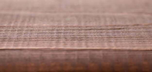 Die Textur einer Holzoberfläche Nahaufnahme Holz Textur Hintergrund