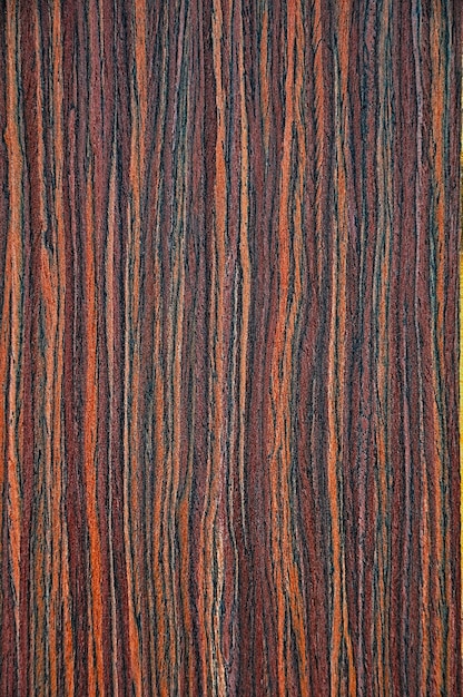 Die Textur eines exotischen Baumes Der Hintergrund rot-orange und schwarzer Streifen