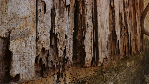 Die Textur von Holzwänden, die Regen und heißer Sonnenkorrosion ausgesetzt sind