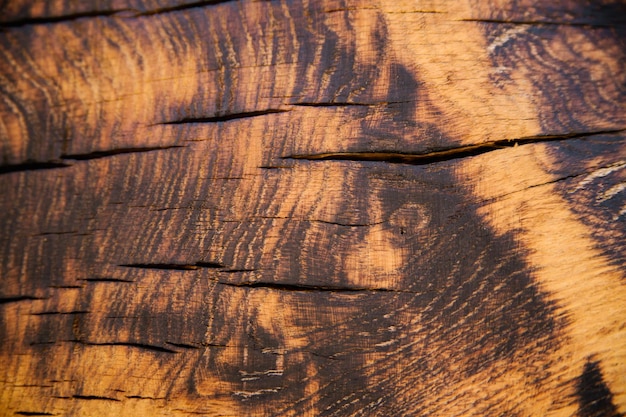 Die Textur von verbranntem Holz Schwarze Flecken auf dem Baum Zusammenfassung Hintergrund