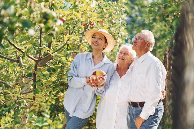 Die Tochter hält frische Äpfel in der Hand, während ihre ältere Mutter und ihr Vater im Garten sind