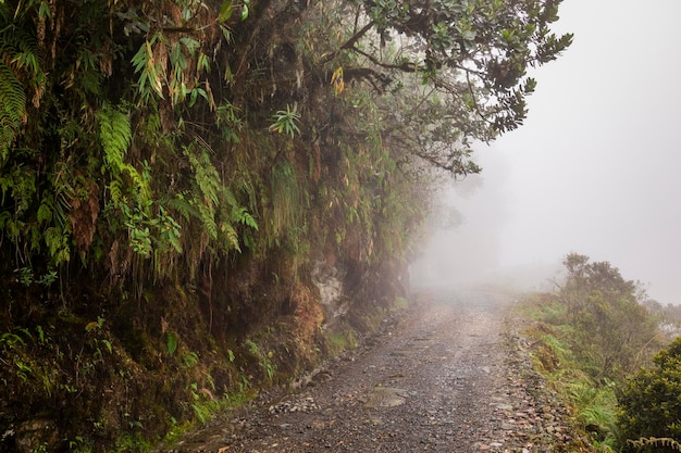 Die Todesstraße die gefährlichste Straße der Welt North Yungas Bolivien