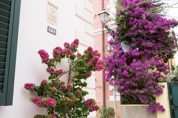 Die türkisfarbene Farbe und die Durchsichtigkeit des Meeres um die Insel La Maddalena Sardinia