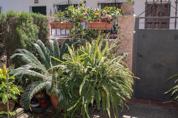 Die Veranda eines Hauses Eine Mauer mit einer Metalltür Töpfe mit Blumen und Pflanzen