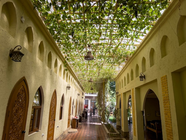 Die Veranda mit Weinlaube in einem Restaurant