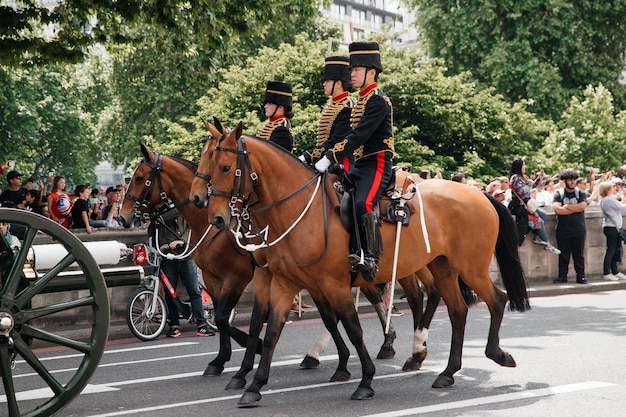 die Wache der Königin