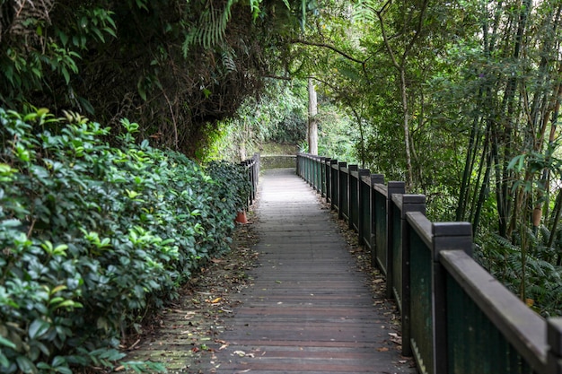 Die Wegweise vom Naturholz für Weg im Sonnenmondsee bei Taiwan