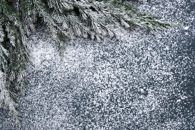 Die Weihnachtswohnung lag mit Fichtenzweigen im Schnee