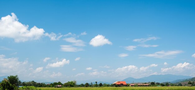 Die weißen Wolken haben eine seltsame Form und Landschaft. Bewölkter und blauer Himmel.