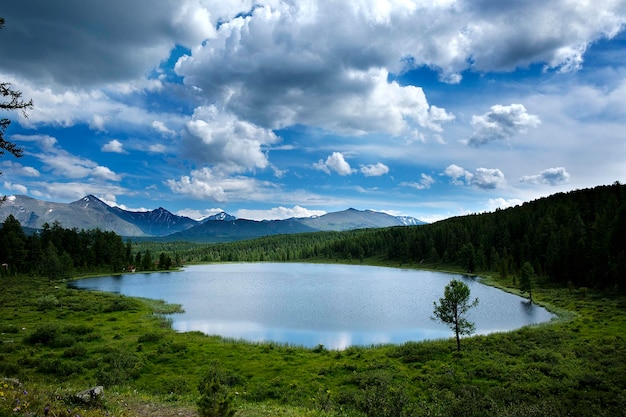 die Weiten des Altai-Territoriums und das reißende Laufen der Gebirgsflüsse an einem sonnigen Sommertag