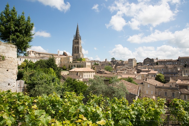 Die wichtigsten Rotweinanbaugebiete des Dorfes Saint Emilion in der Region Bordeaux