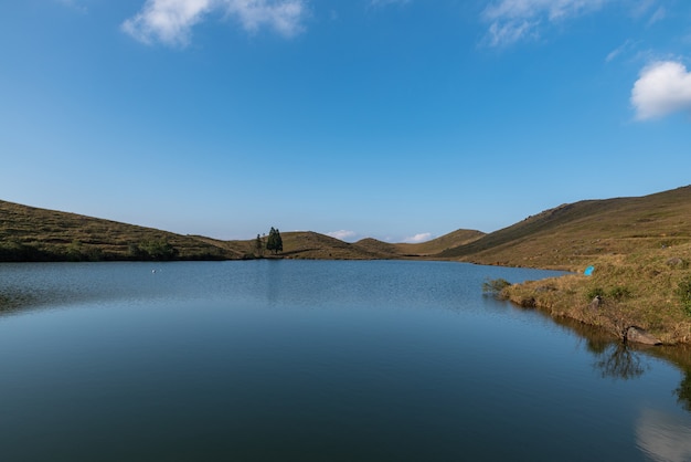 Die Wiese am See ist blau und das Wasser ist blau und das Gras ist gelb