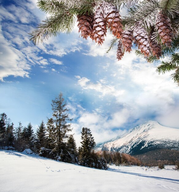 Die Winterreise in die Berge