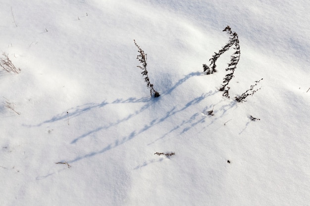 Die Wintersaison mit kaltem Wetter und viel Niederschlag in Form von Schnee, großen Schneeverwehungen nach Schneefällen und Schneestürmen