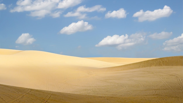 die Wüste mit blauem Himmel am sonnigen Tag