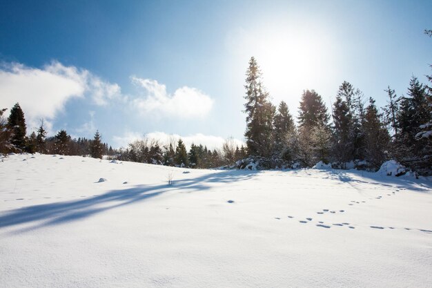 Die wunderschöne Winterlandschaft mit verschneiten Pisten und Loipen