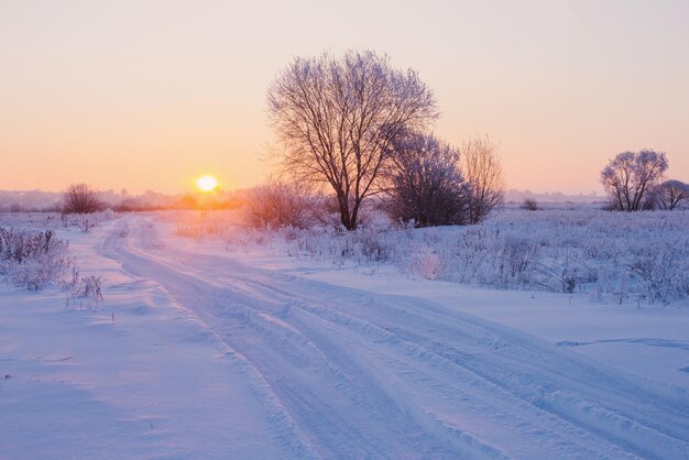 die wunderschöne Winterlandschaft