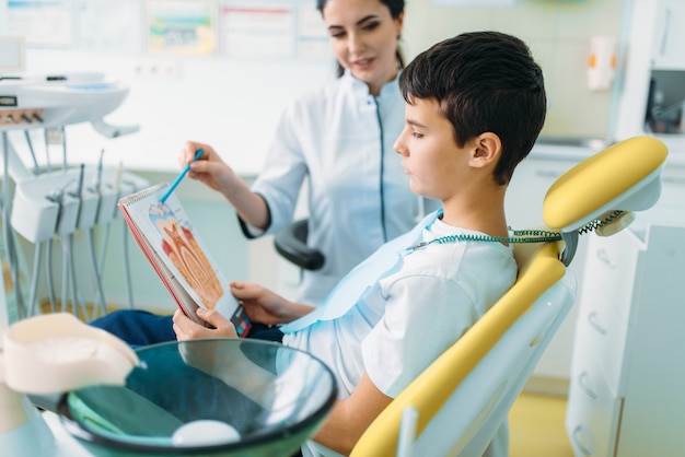 Die Zahnärztin zeigt dem kleinen Jungen in einem Zahnarztstuhl die Zahnstruktur, die professionelle Kinderzahnheilkunde und die Kinderstomatologie