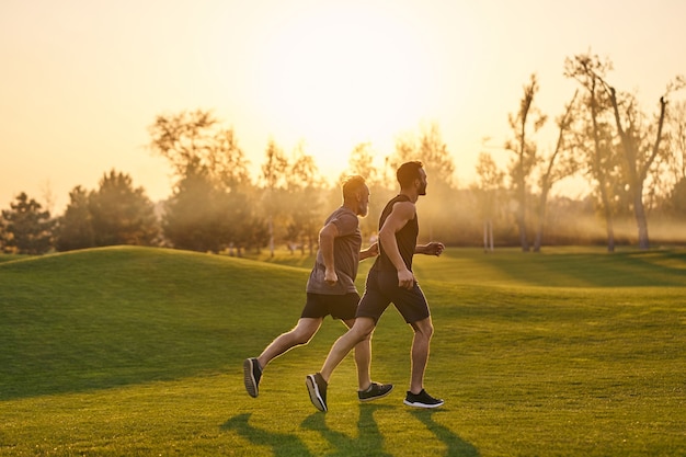 Die zwei Sportler, die im malerischen Park auf dem Sonnenunterganghintergrund laufen