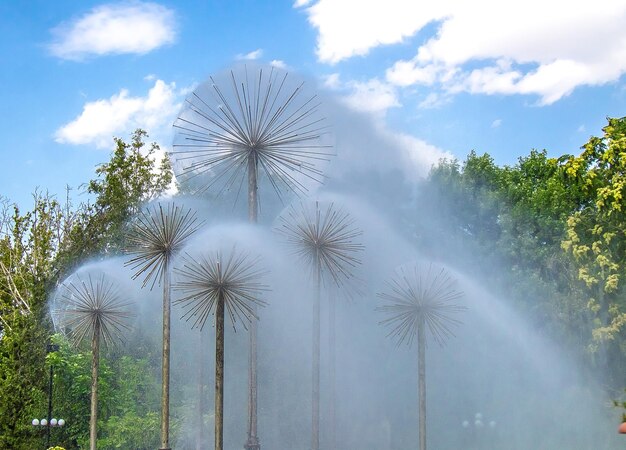 Diente de león fuente en el parque de la ciudad