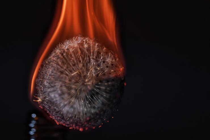 Foto el diente de león en llamas sobre un fondo negro