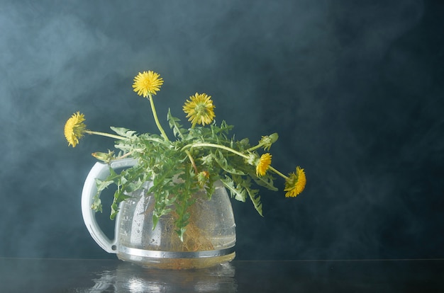 Diente de león con raíces y hojas en una tetera de vidrio en una oscuridad en humo