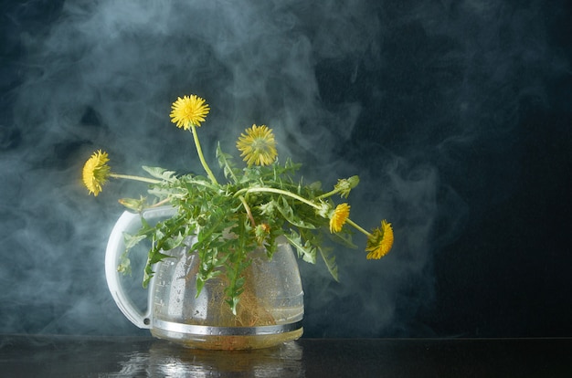 Diente de león con raíces y hojas en una tetera de vidrio en una oscuridad en humo