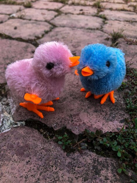 Foto dies ist ein kinderspielzeug in form eines rosa und blauen küken