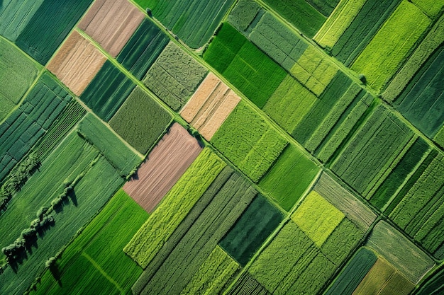 Dieses Foto zeigt eine Vogelsicht auf ein üppiges grünes Feld ohne Strukturen oder menschliche Aktivitäten ein Patchwork verschiedener landwirtschaftlicher Felder, die aus der Luft fotografiert wurden.