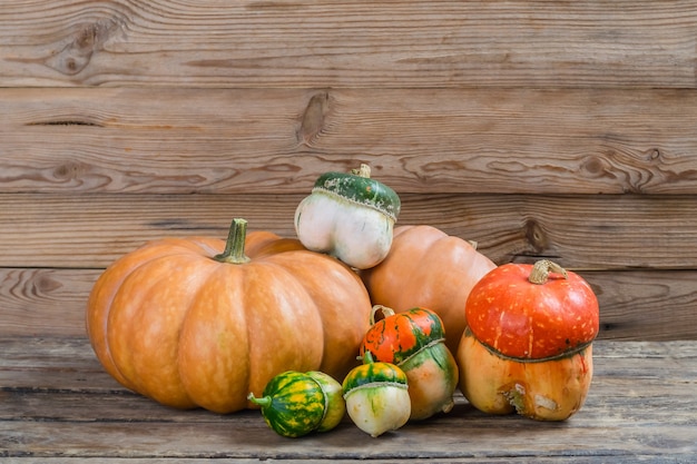 Diferentes calabazas en mesa rústica de madera, cosecha