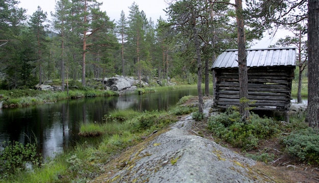 Diferentes colores de un paisaje noruego.