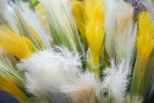 Diferentes colores de plumas falsas.