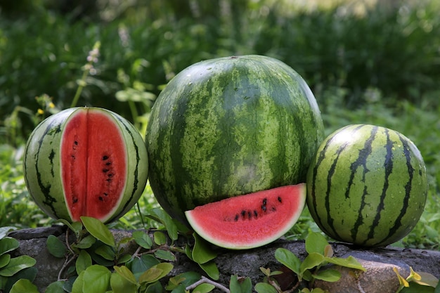 Diferentes deliciosas melancias maduras na superfície de pedra ao ar livre