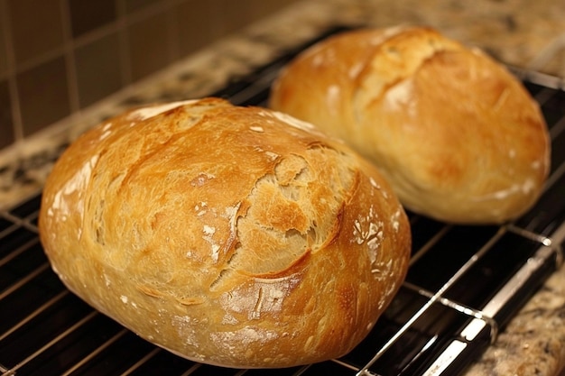 Diferentes estilos de pan de harina de trigo Una aventura culinaria