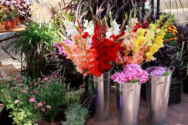 Diferentes flores coloridas em vasos no mercado de flores do florista