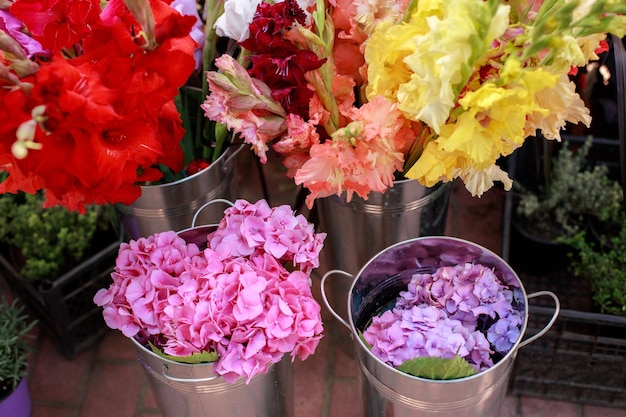 Diferentes flores en un primer plano de la tienda de flores